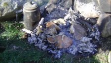 2010'dan güzel av görüntüleri