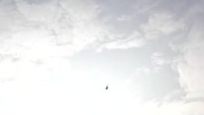 dolapçı güvercin dönüşü