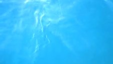 Kuşadası Balık Turu Kuşadasıbalıkturu
