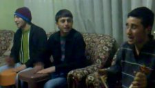 tonyalı kopuklar