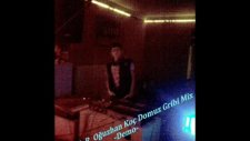 Dj Sinyor Oğuzhan Koç Domuz Gribi Remix 2011