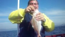 Kuşadası Balık Turu Kuşadasıbalıkturu
