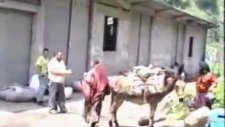 Taflancık Köyü 90 Lı Yıllar... / Taflancik.net