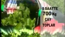 maks çay toplama makinesi ı .maksticaret.