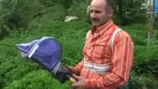 maks çay toplama makinesi