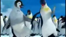 Penguenler Apaçi Dansı Yapıyor Xd