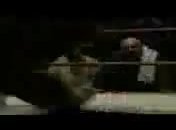 ölümcül kickbox