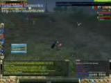 Knight Cz Ws