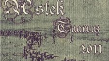 Astek - Taarruz 2011