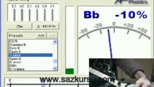 ap tuner programıyla kısa sap bağlama akortu