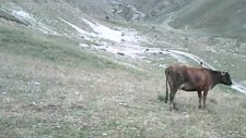 Erzurum Tortum Aksu Köyü Fazlı Akcan