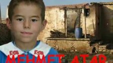 Pusat Köyü Kaybettiklerimiz