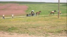 Sabri Şimşekoğlu (Bitmez Yara Var Bende