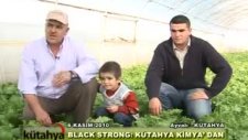 Kütahya Kimya - Black&Strong Marul Uygulaması