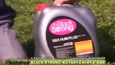Kütahya Kimya - Black&Strong Maydanoz Uygulaması