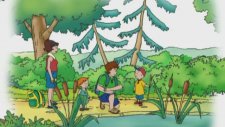 Caillou Bataklıkta
