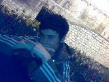 Can Dostlar