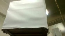 Fluryasakacarduelis Cloriskafes Üretimikuş