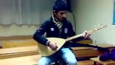 Ağrılı Doğan-Bahçada Yeşil Çınar