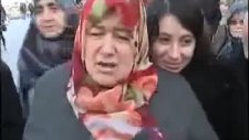 anlamaz öküz ne anlar