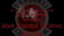 Tki Tavşanlı Linyitspor Polinom