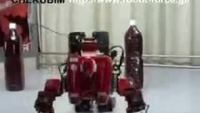 Real Transformer Robot Cherubım