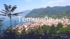 Artvin Temurağa