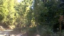 Almus Çam Köy