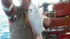 Kuşadası Balık Turu Kuşadasıbalıkturu