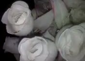 Uyan Askerim Uyan