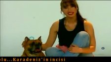 Rengin - Aldatıldık
