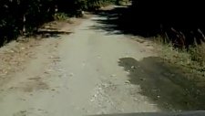 Almus Çamköy