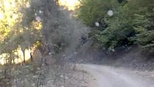Almus Çamköy