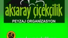 aksaray çiçekçilik ve organizasyon
