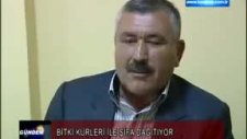 Lokman Hekim Tayyar Antalya Vip Tv'de