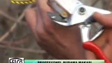 felco 31 budama makası semak makina