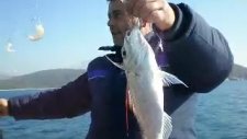 Kuşadası Balık Avı