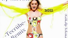 Dj Sinyor Demet Akalın Tecrübe Remix 2011
