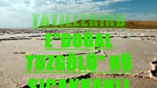 Hamiyet Yüceses-Yana Yana Kül Oldum