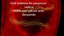 Demek Gidiyorsun....