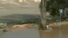 Tsunami Videoları