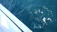kuşadası balık turu kuşadası