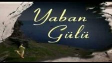 yaban gülüm - numan hadi