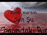 Ayrılamayız Asla