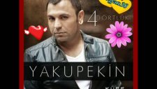 yakup ekin - küpe - 2011