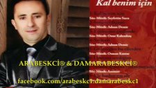 Adnan Demir Armut Ağacına Yaslanma 2011