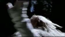 the messenger the story of joan of arc