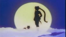 pretty soldier sailor moon
