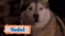 Snow Dogs