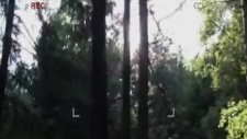 the hills run red